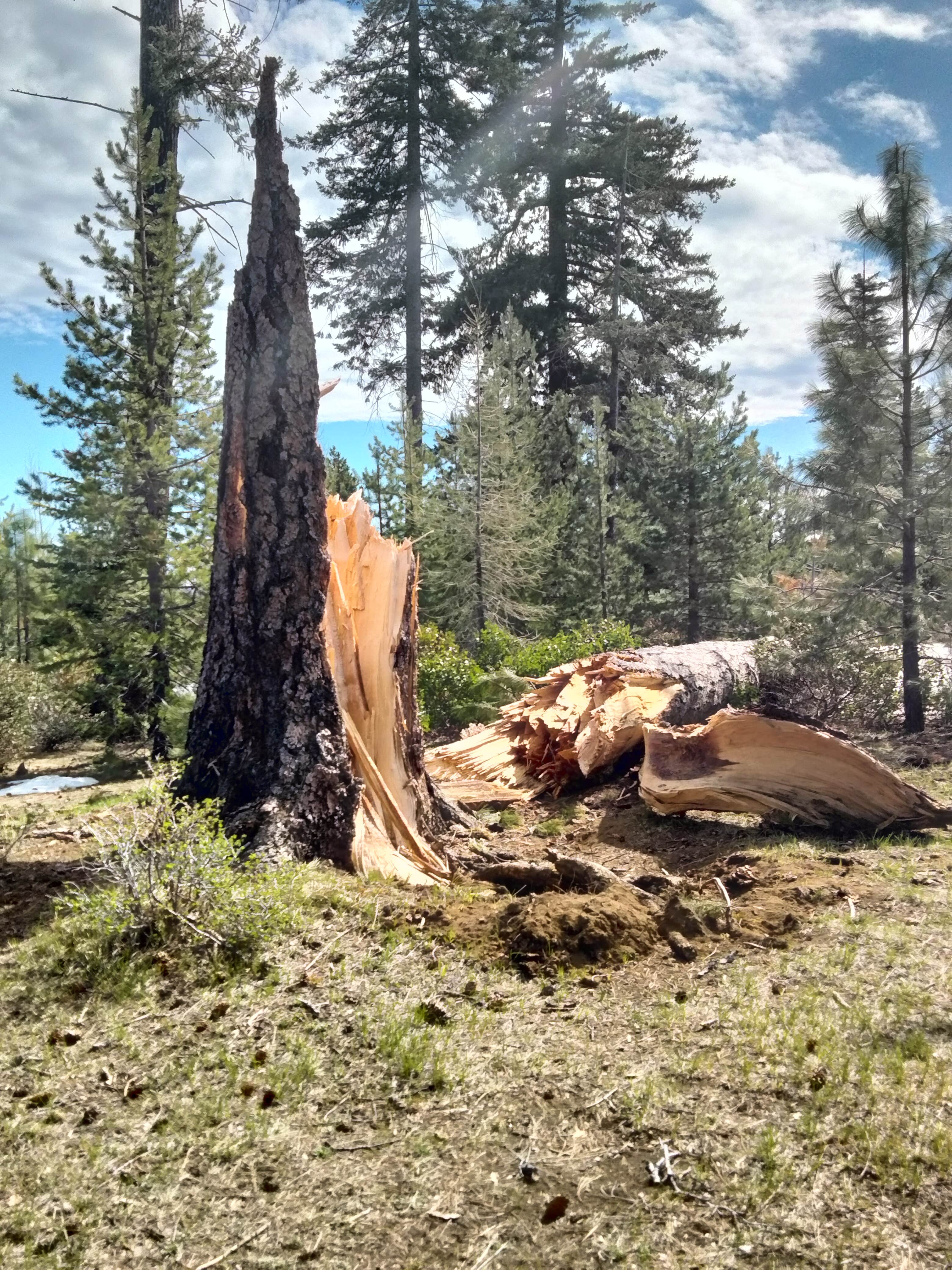 Camper-submitted photo at Round Lake near Cloverdale, OR