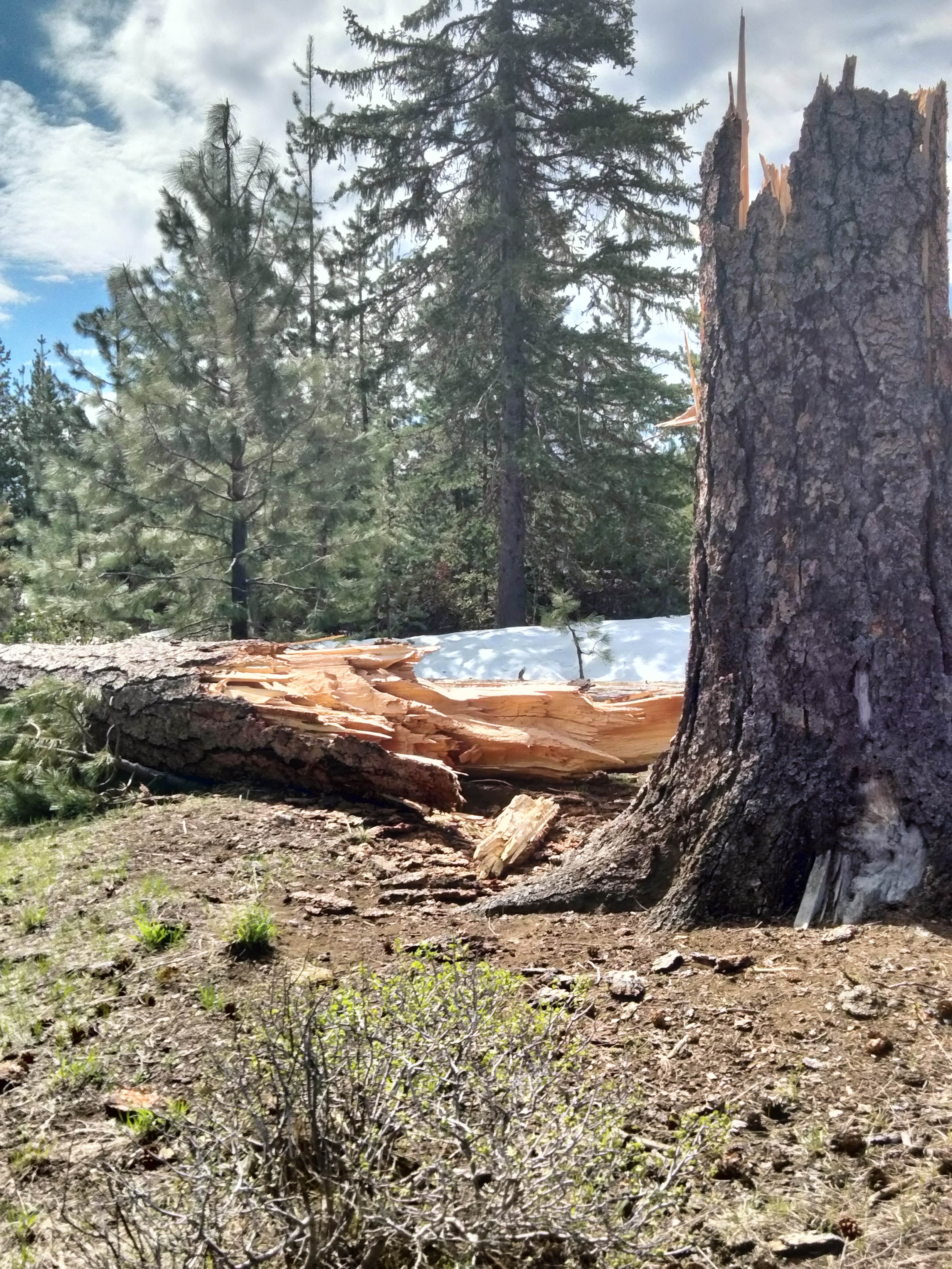 Camper-submitted photo at Round Lake near Cloverdale, OR