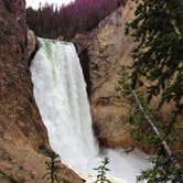 Review photo of Canyon Campground — Yellowstone National Park by Matt S., August 19, 2016