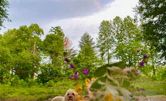 Ted N.'s photo of camping with pets at 411 River Rest Campground near Resaca, GA