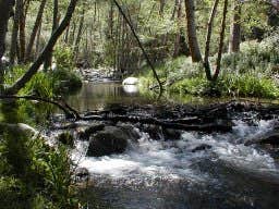 Camper-submitted photo at Brookeland / Lake Sam Rayburn KOA near Pineland, TX