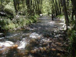 Camper-submitted photo at Brookeland / Lake Sam Rayburn KOA near Pineland, TX