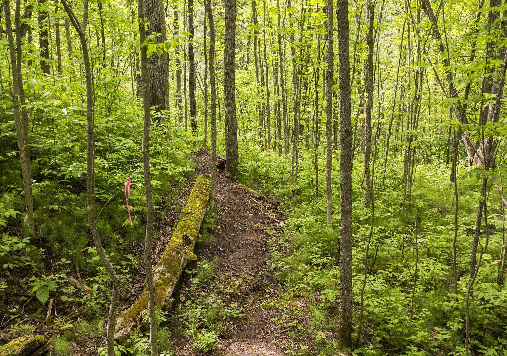 Camper-submitted photo at Brookeland / Lake Sam Rayburn KOA near Pineland, TX