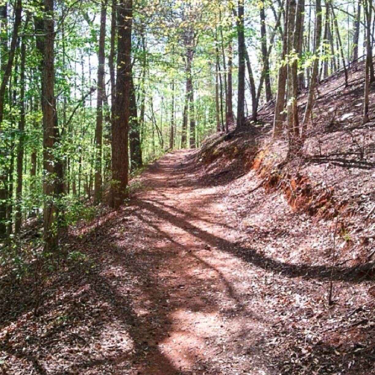 Camper-submitted photo at Brookeland / Lake Sam Rayburn KOA near Pineland, TX