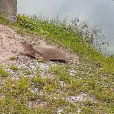 Review photo of St. Augustine Beach KOA by Cynthia K., May 15, 2023