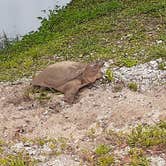 Review photo of St. Augustine Beach KOA by Cynthia K., May 15, 2023