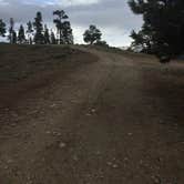 Review photo of Twin Peaks Dispersed Campground- Colorado by Aliyah B., October 10, 2018