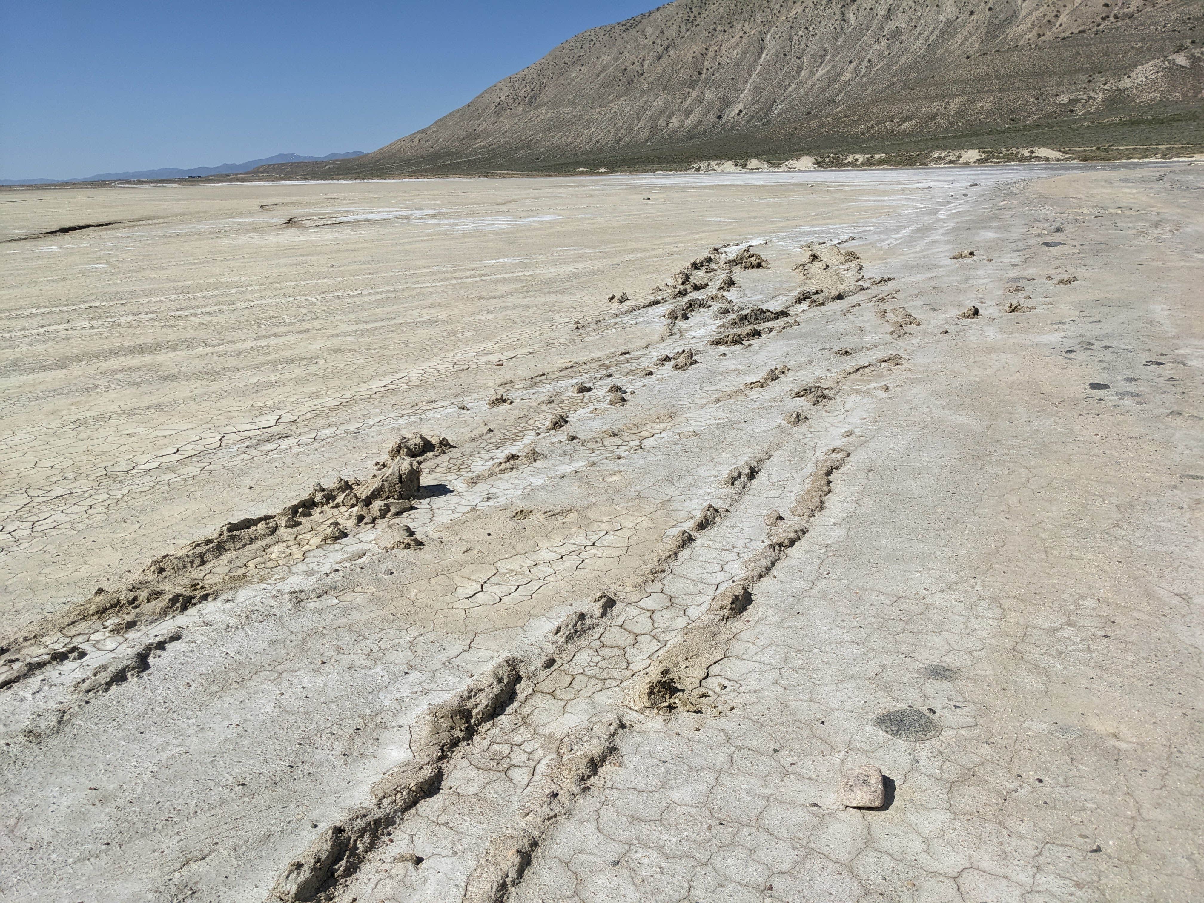 Camper submitted image from Three Mile Playa - Black Rock Desert - 2