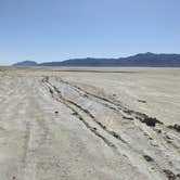 Review photo of Three Mile Playa - Black Rock Desert by Laura M., May 16, 2023