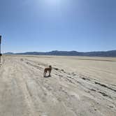 Review photo of Three Mile Playa - Black Rock Desert by Laura M., May 16, 2023