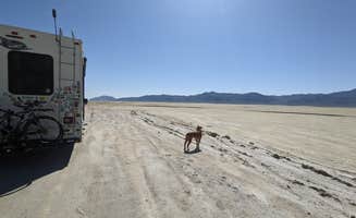 Laura M.'s photo of camping with pets at Three Mile Playa - Black Rock Desert near Gerlach, NV