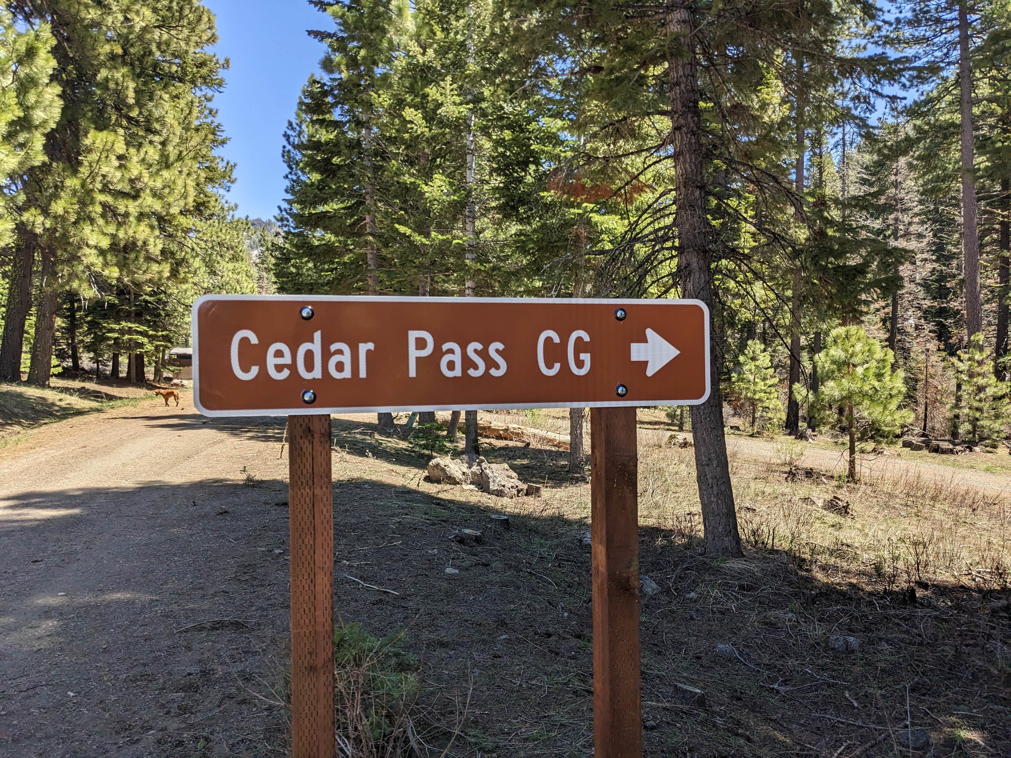 Camper submitted image from Cedar Pass Campground - 4