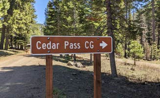 Laura M.'s photo of camping with pets at Cedar Pass Campground near Lakeview, OR