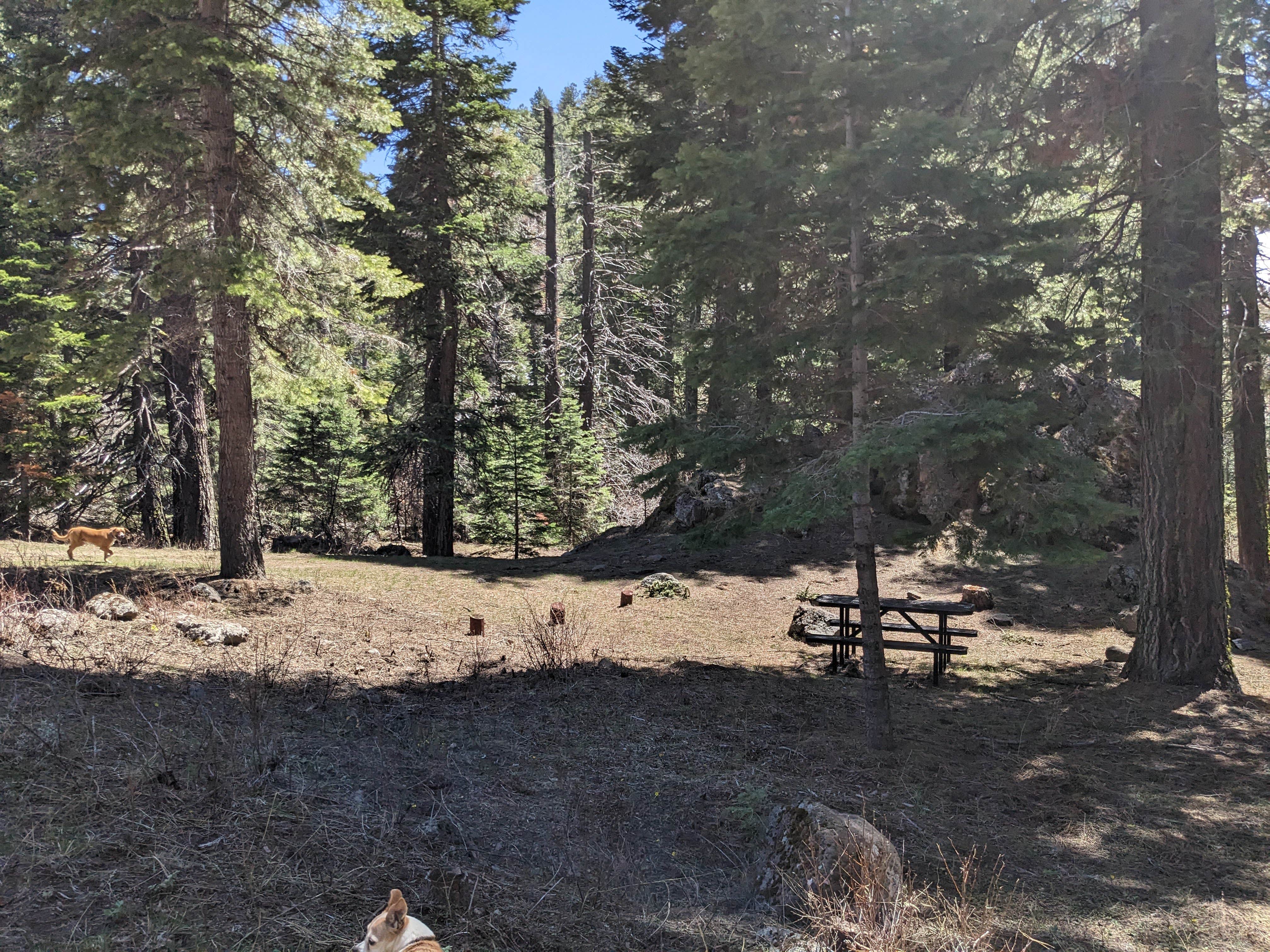 Camper-submitted photo at Cedar Pass Campground near Alturas, CA