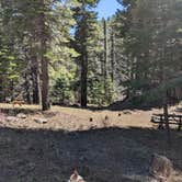 Review photo of Cedar Pass Campground by Laura M., May 16, 2023