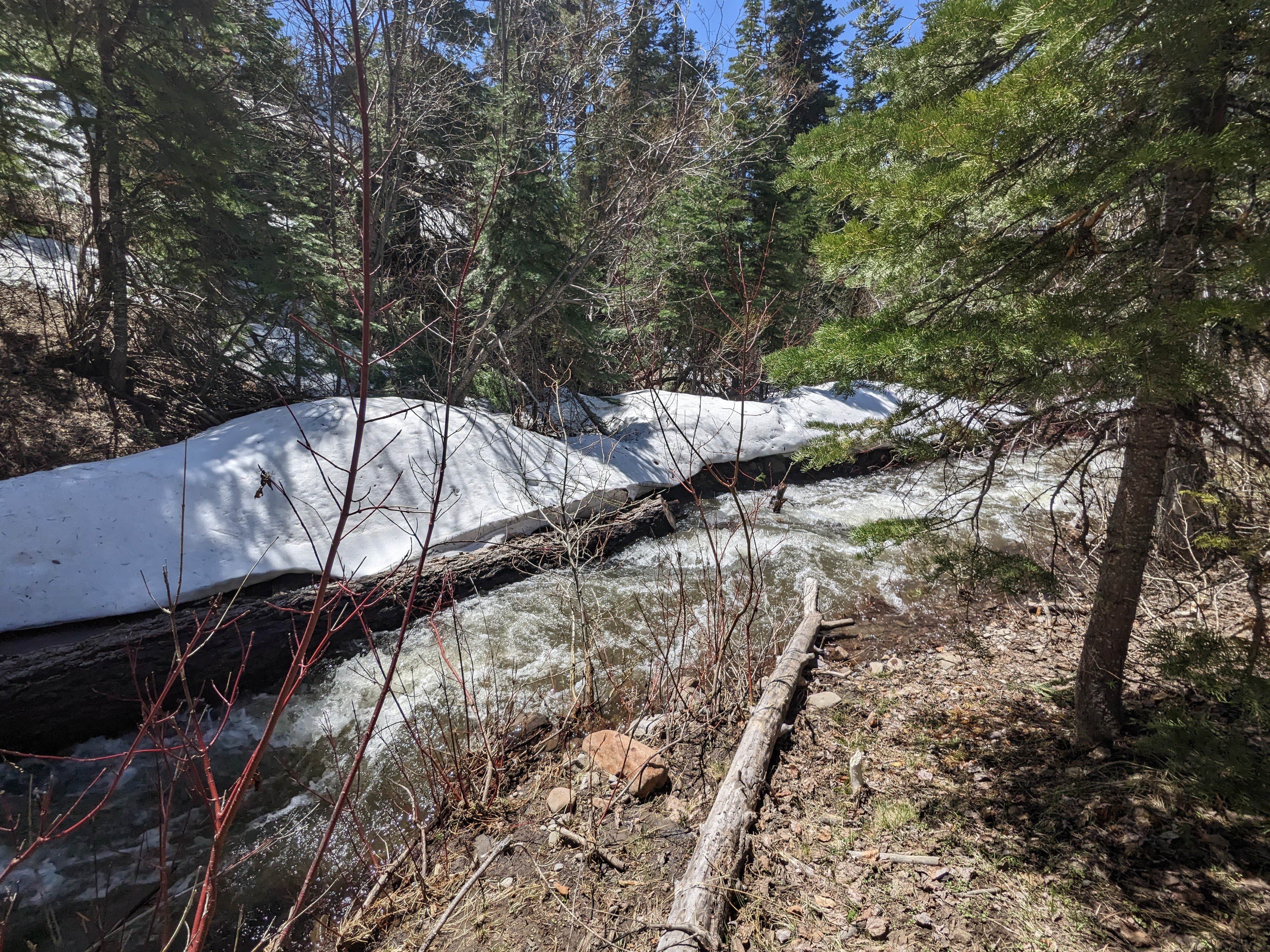Camper-submitted photo at Cedar Pass Campground near Alturas, CA