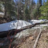 Review photo of Cedar Pass Campground by Laura M., May 16, 2023