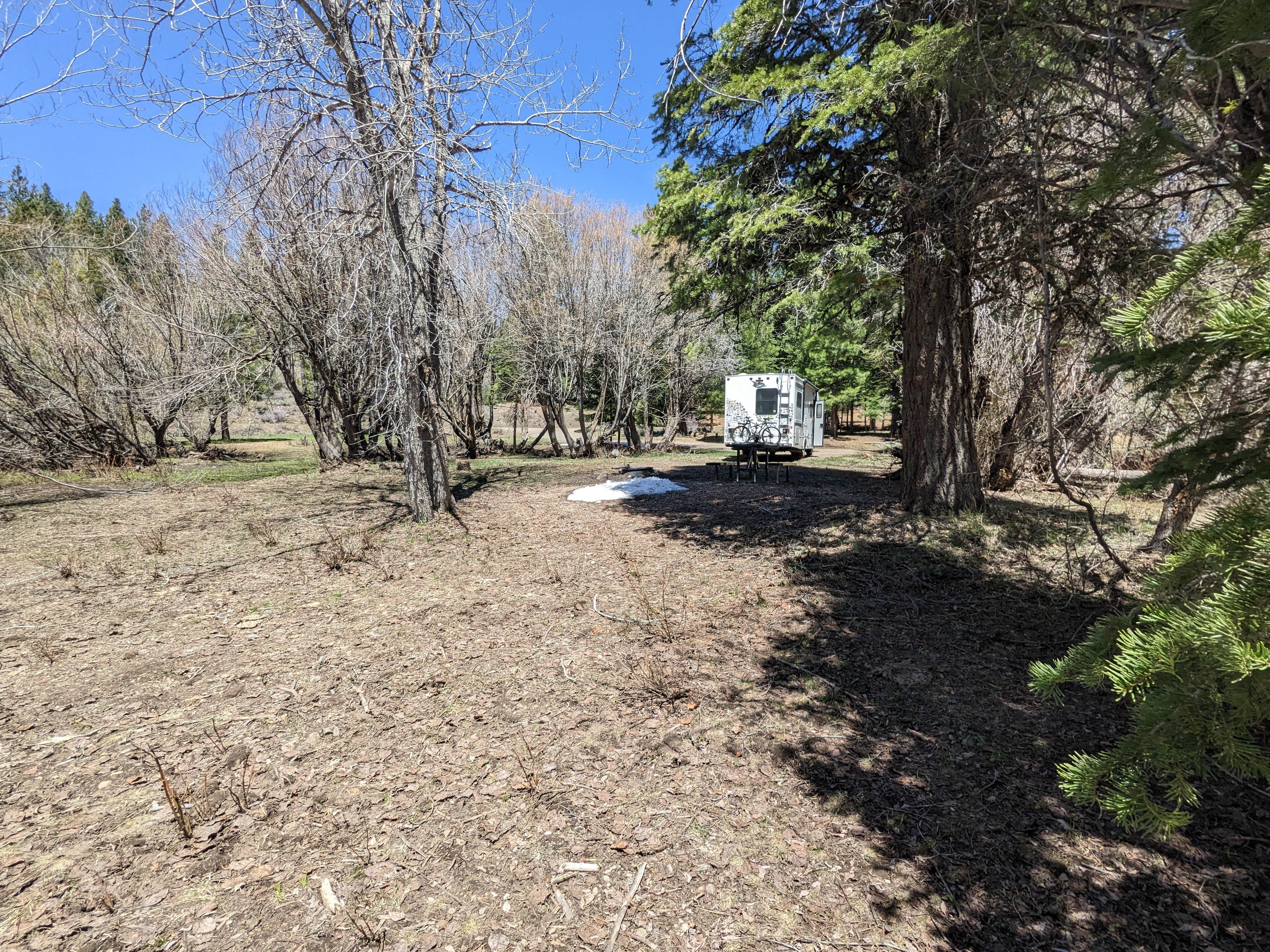 Camper submitted image from Cedar Pass Campground - 5