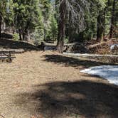 Review photo of Cedar Pass Campground by Laura M., May 16, 2023