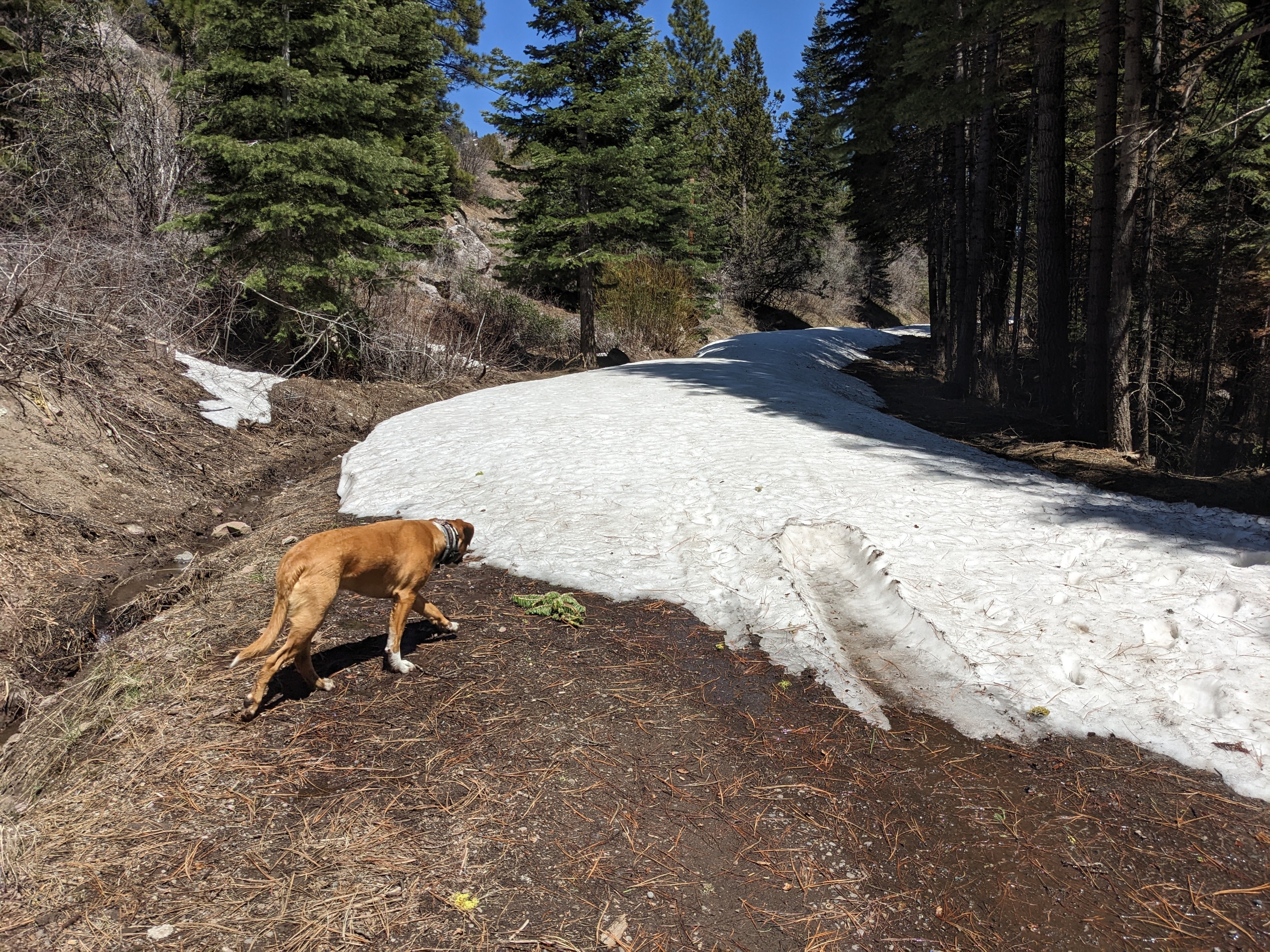 Camper submitted image from Cedar Pass Campground - 1