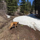 Review photo of Cedar Pass Campground by Laura M., May 16, 2023