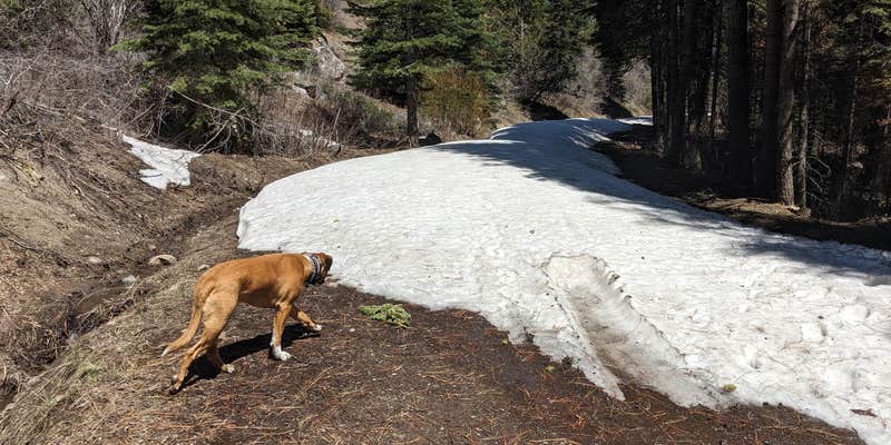 Camper submitted image from Cedar Pass Campground
