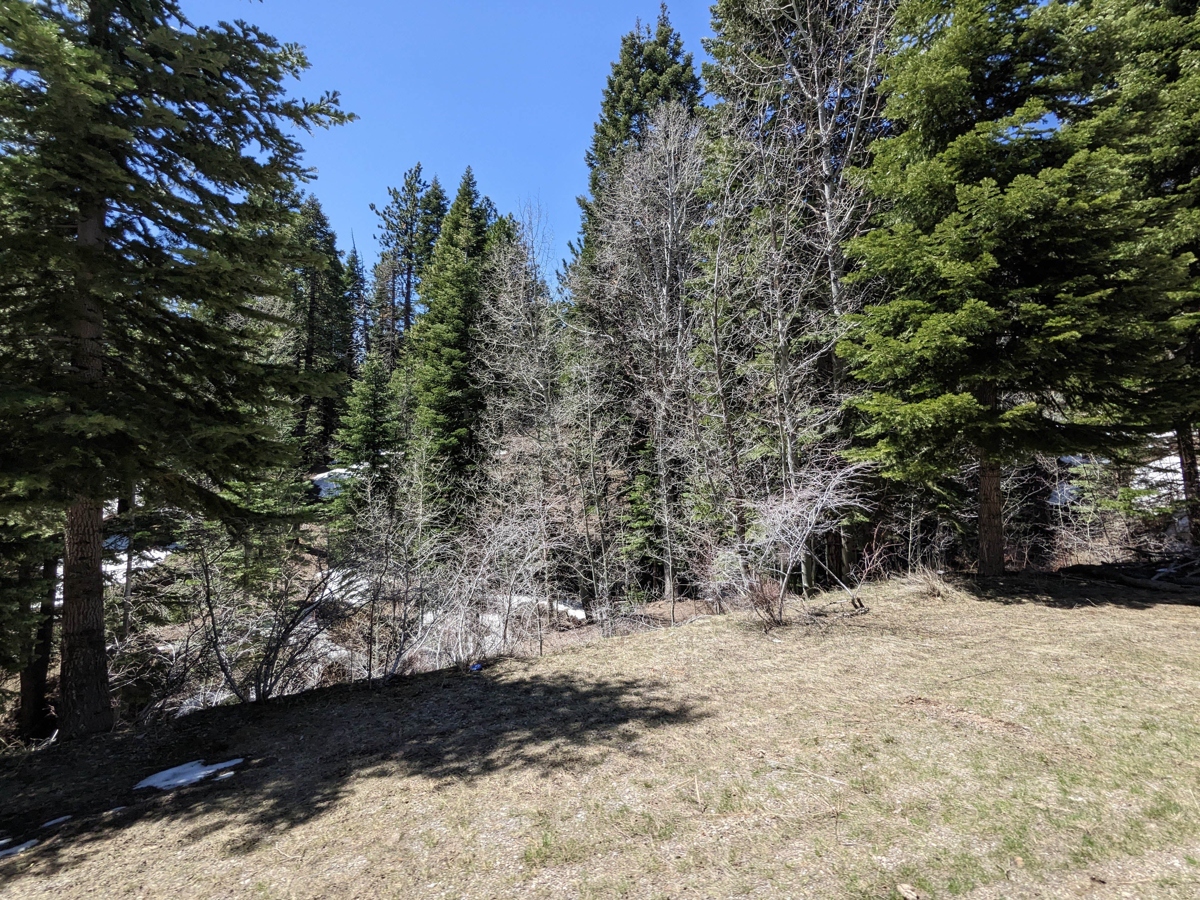 Camper-submitted photo at Stough Reservoir Campground near McArthur, CA