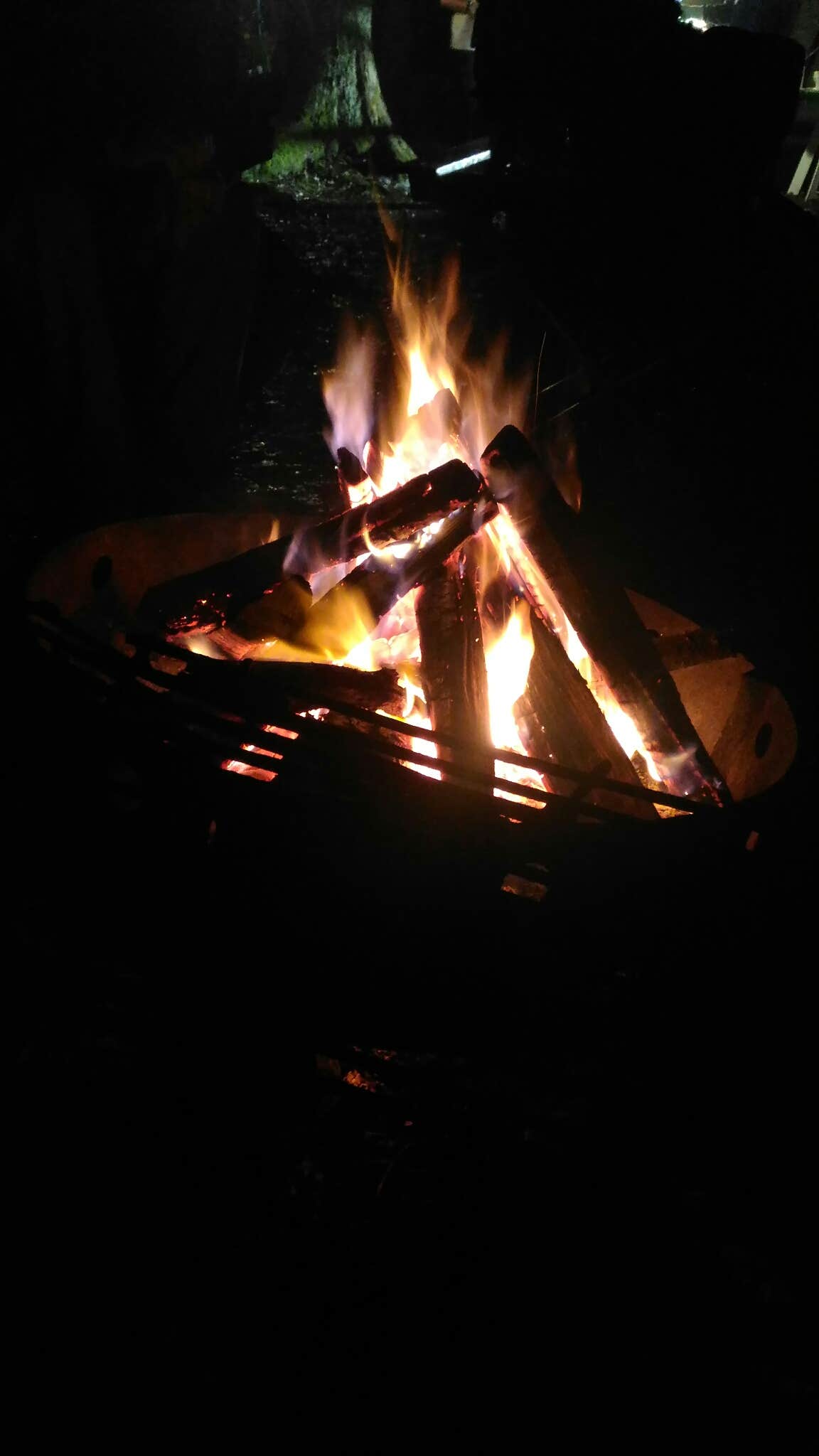 Camper-submitted photo at Locust Lake State Park Campground near Tamaqua, PA