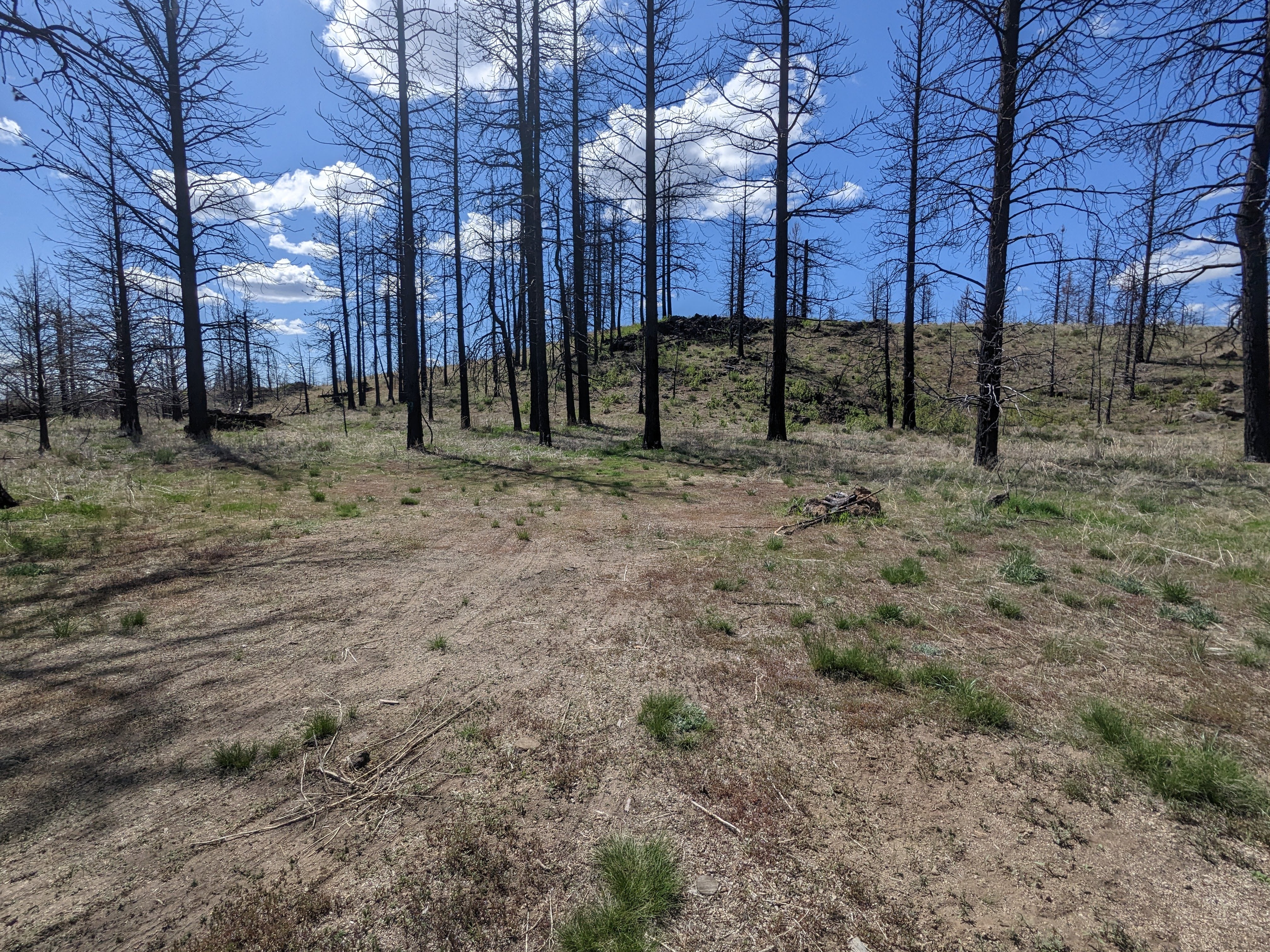 Camper submitted image from South Lava Beds - 1