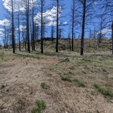 Review photo of South Lava Beds by Laura M., May 16, 2023