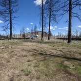 Review photo of South Lava Beds by Laura M., May 16, 2023