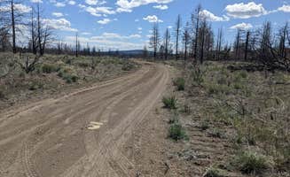 Laura M.'s photo of a dispersed camping area at South Lava Beds near Tulelake, CA
