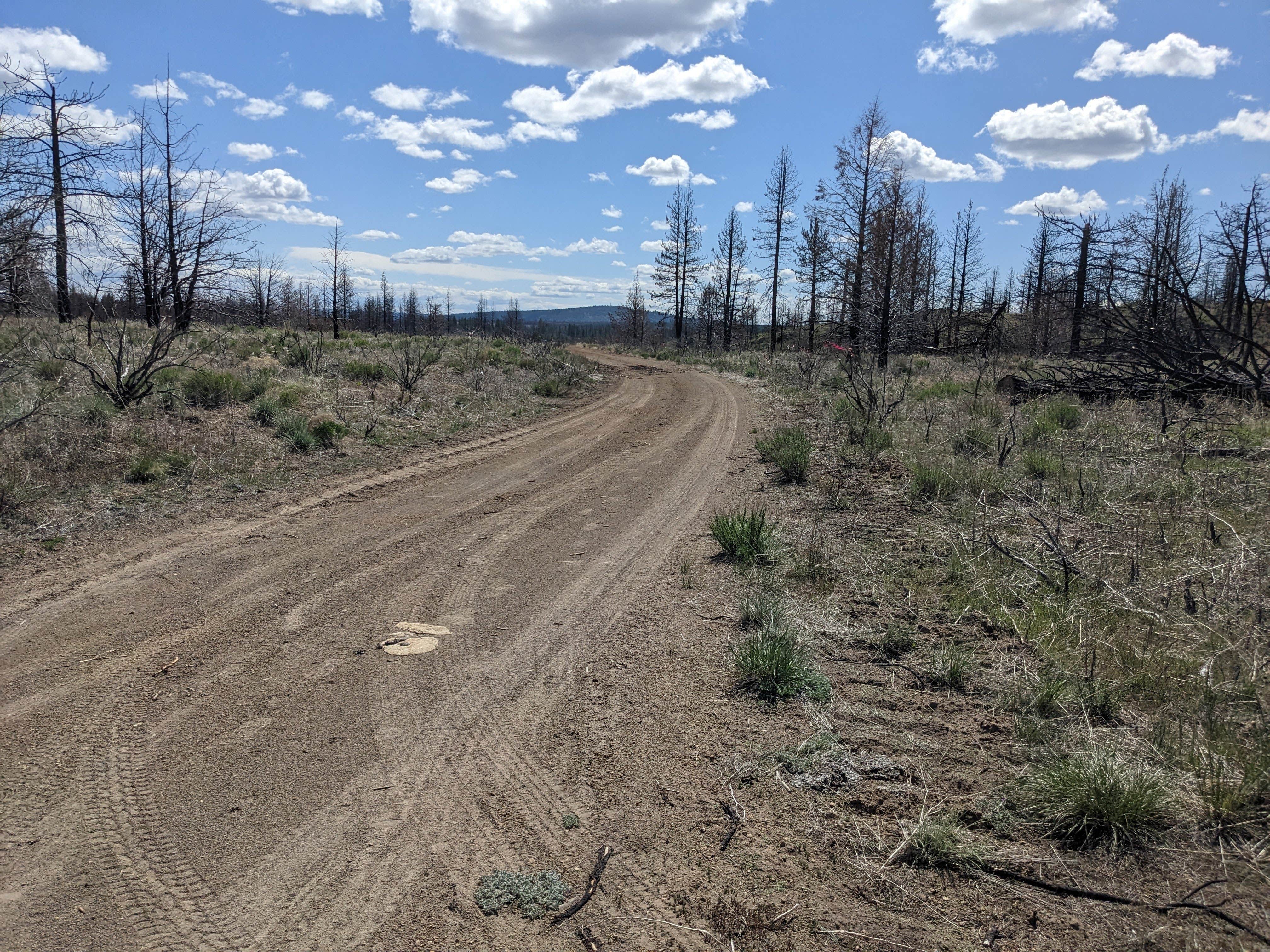 Laura M.'s photo of a dispersed camping area at West Tionesta near Modoc National Forest