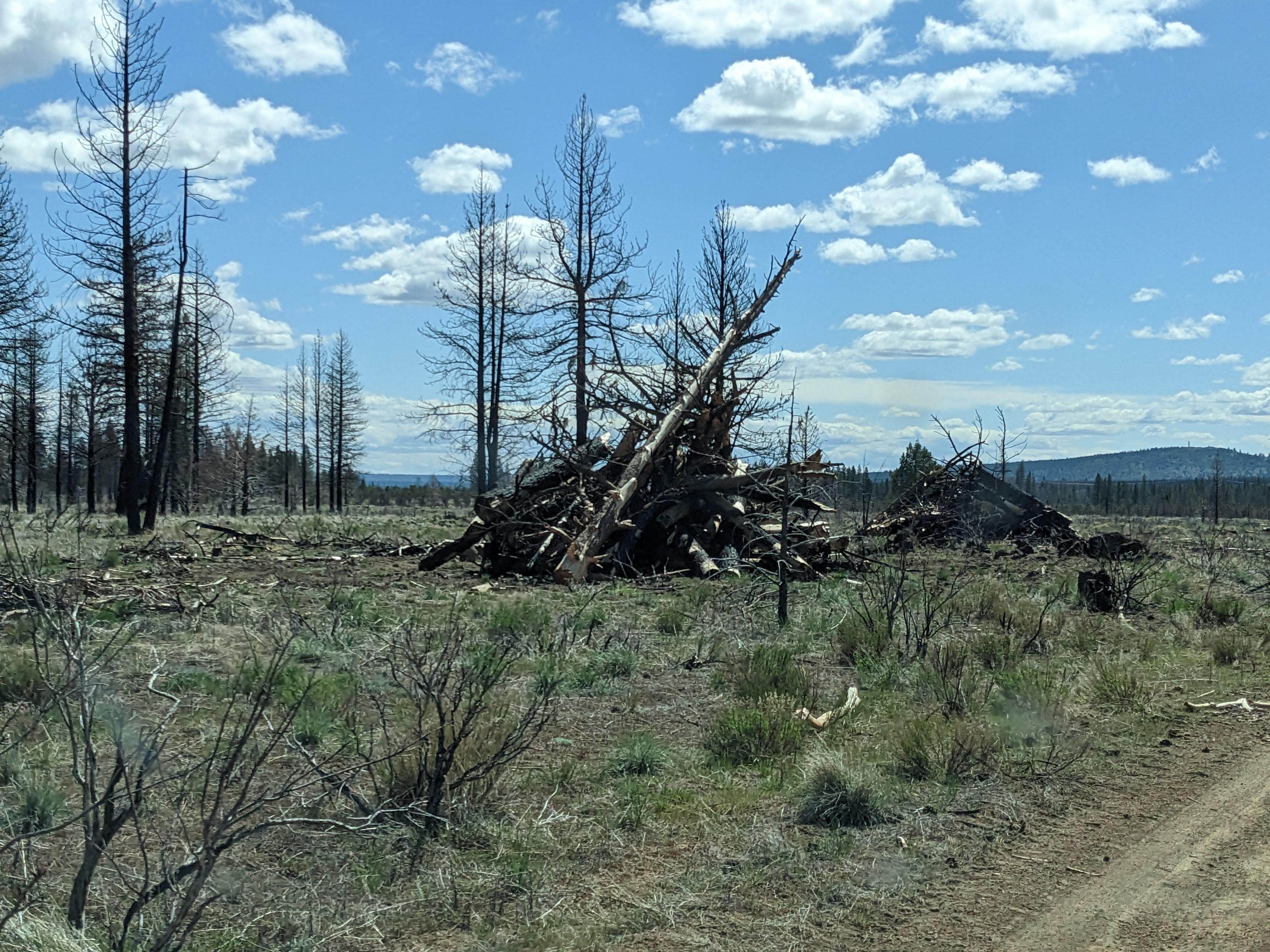 Camper-submitted photo at West Tionesta near Tulelake, CA