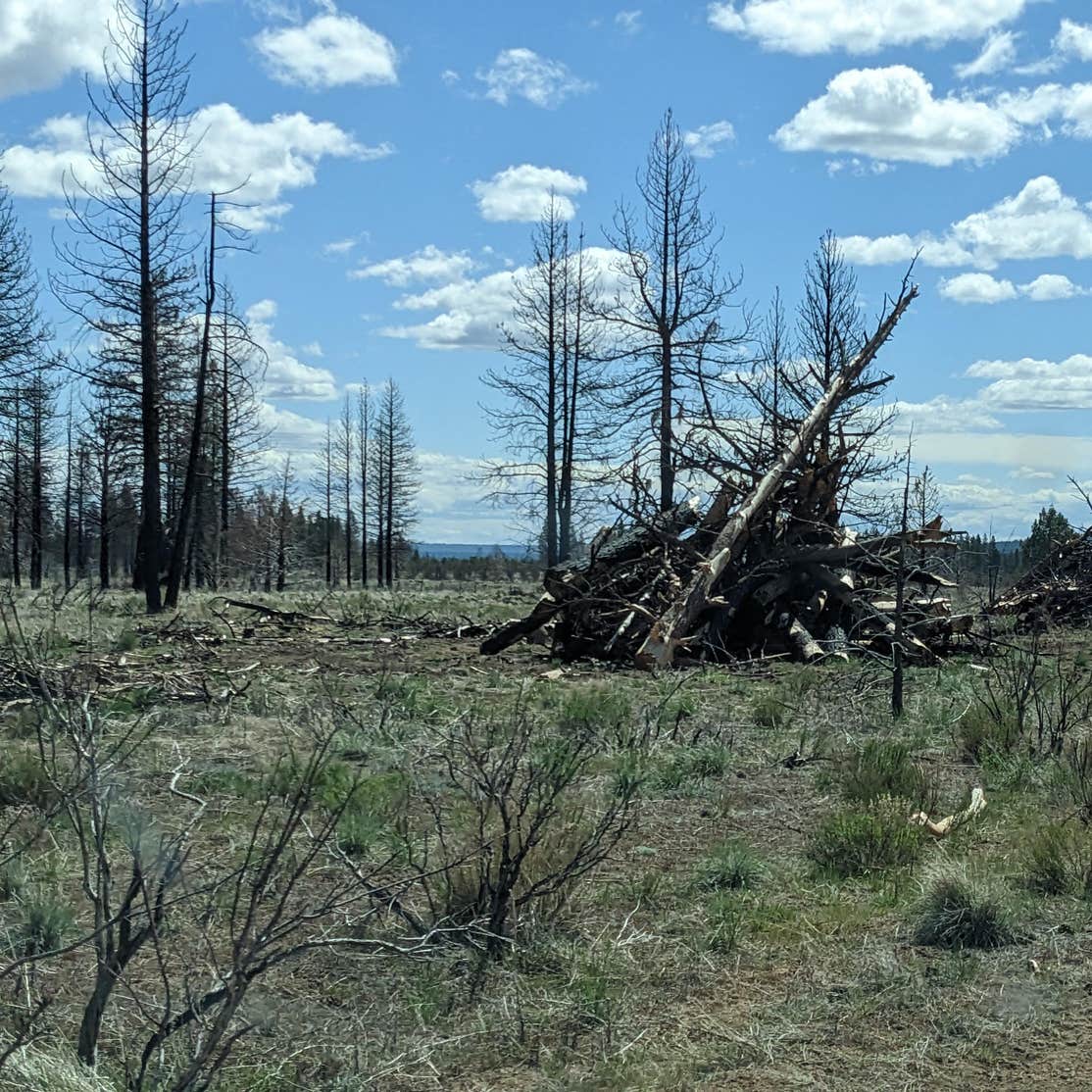 West Tionesta Camping | Modoc National Forest, CA