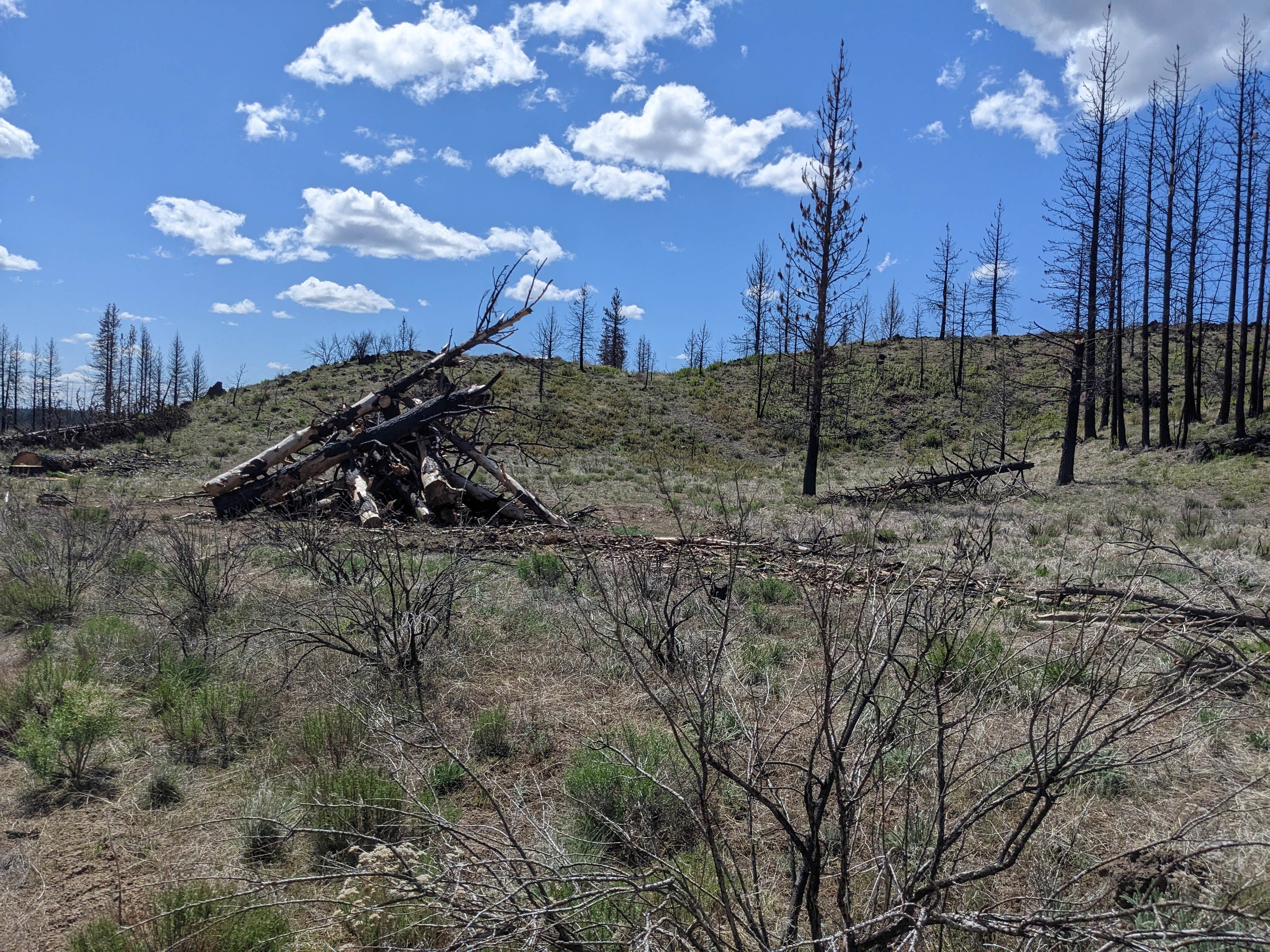 Camper-submitted photo at West Tionesta near Tulelake, CA