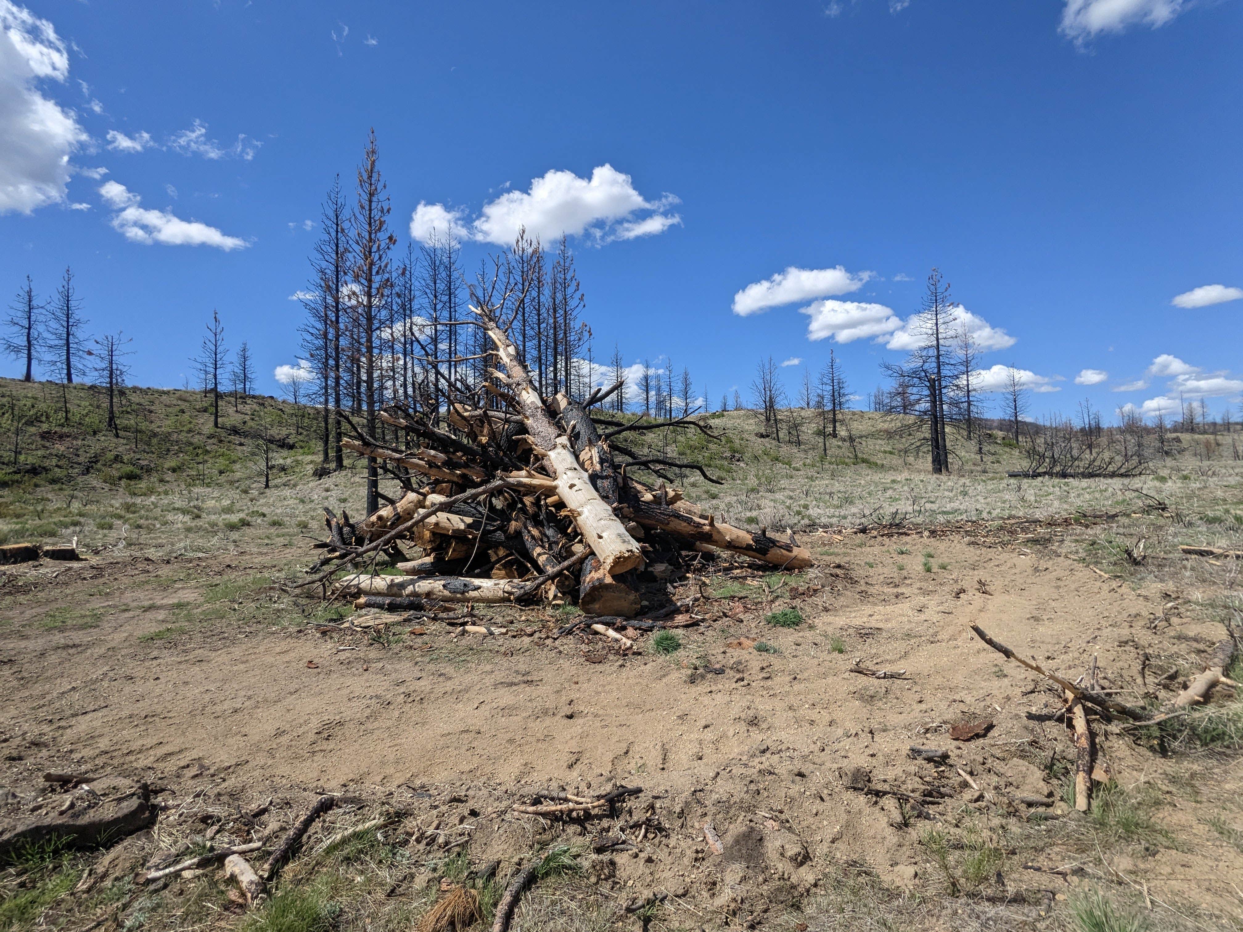 Camper-submitted photo at West Tionesta near Tulelake, CA