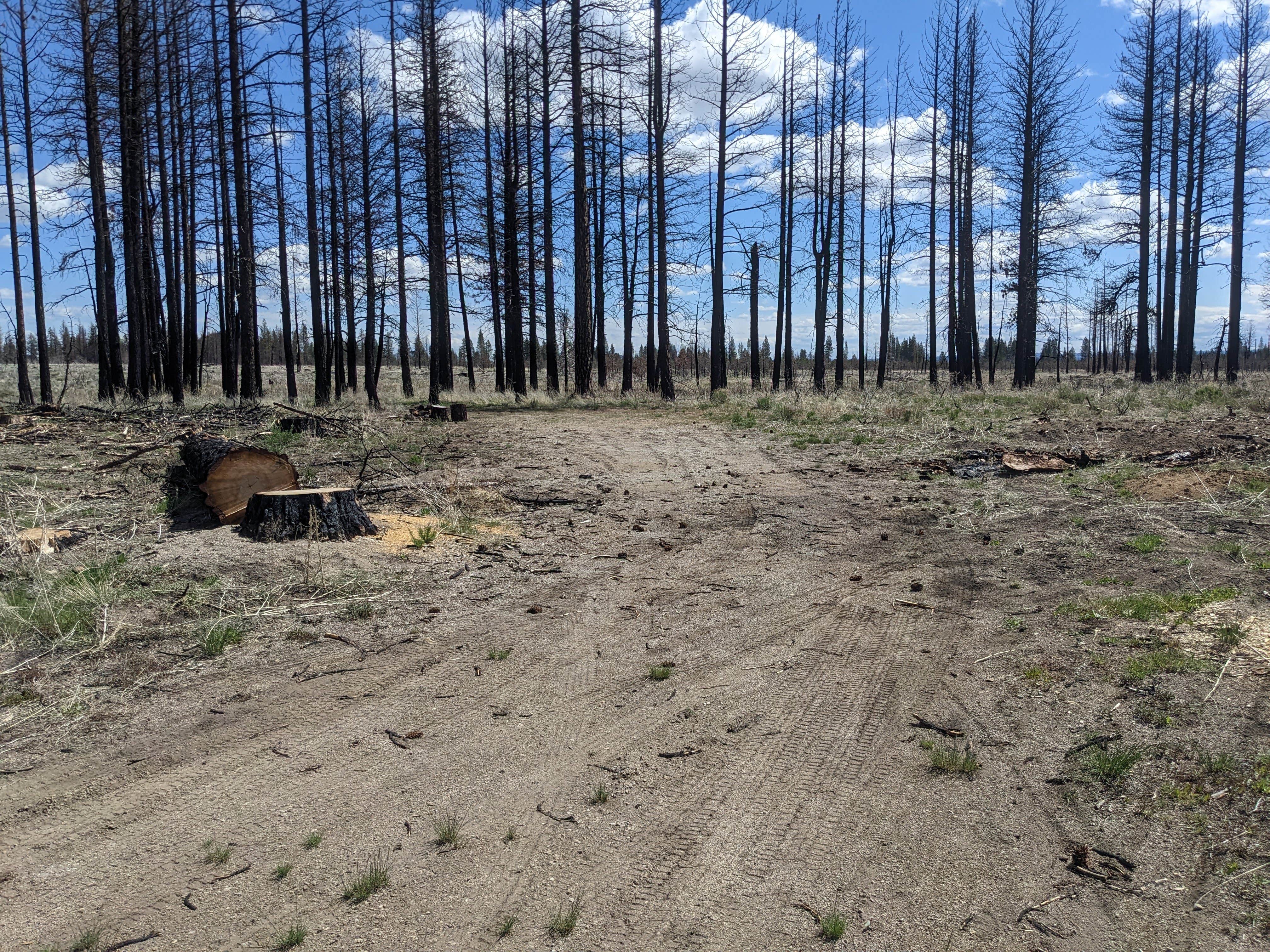 Camper-submitted photo at West Tionesta near Tulelake, CA