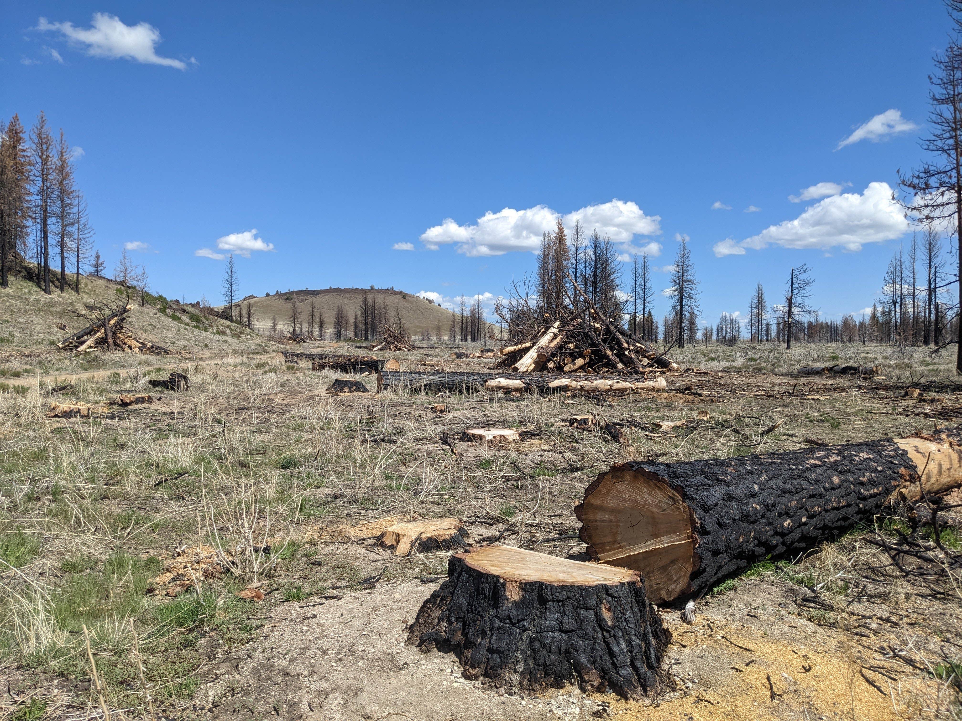 Camper-submitted photo at West Tionesta near Tulelake, CA