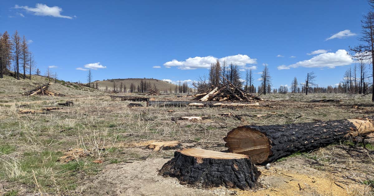West Tionesta Camping Modoc National Forest, CA The Dyrt
