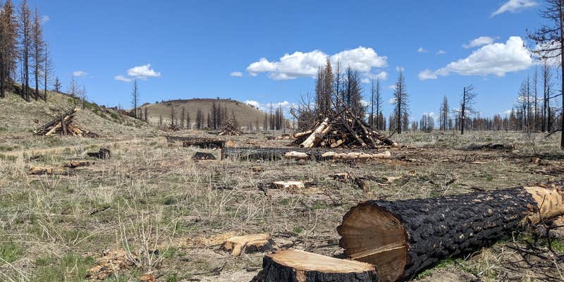 Camper submitted image from West Tionesta