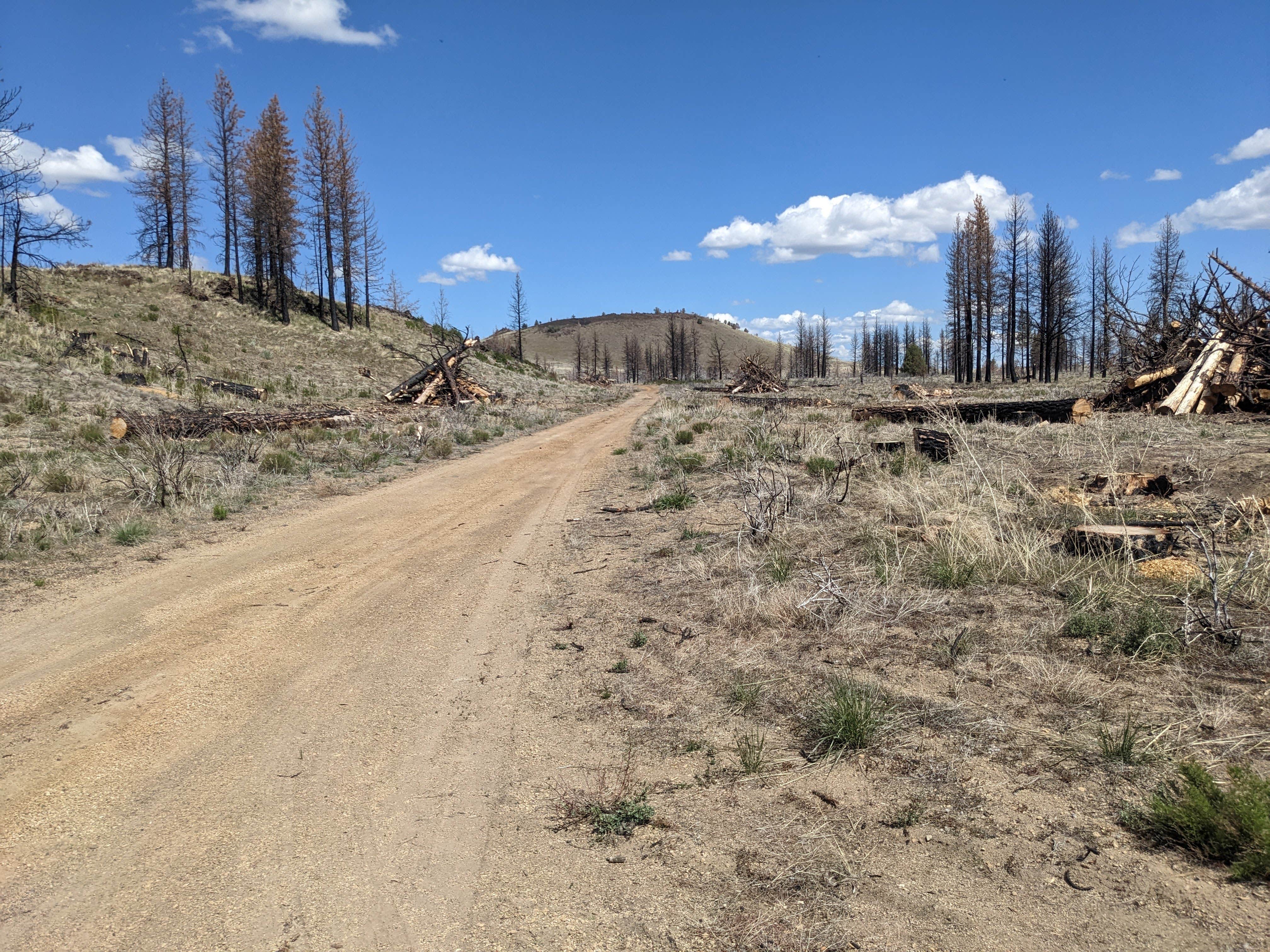 Camper-submitted photo at West Tionesta near Tulelake, CA