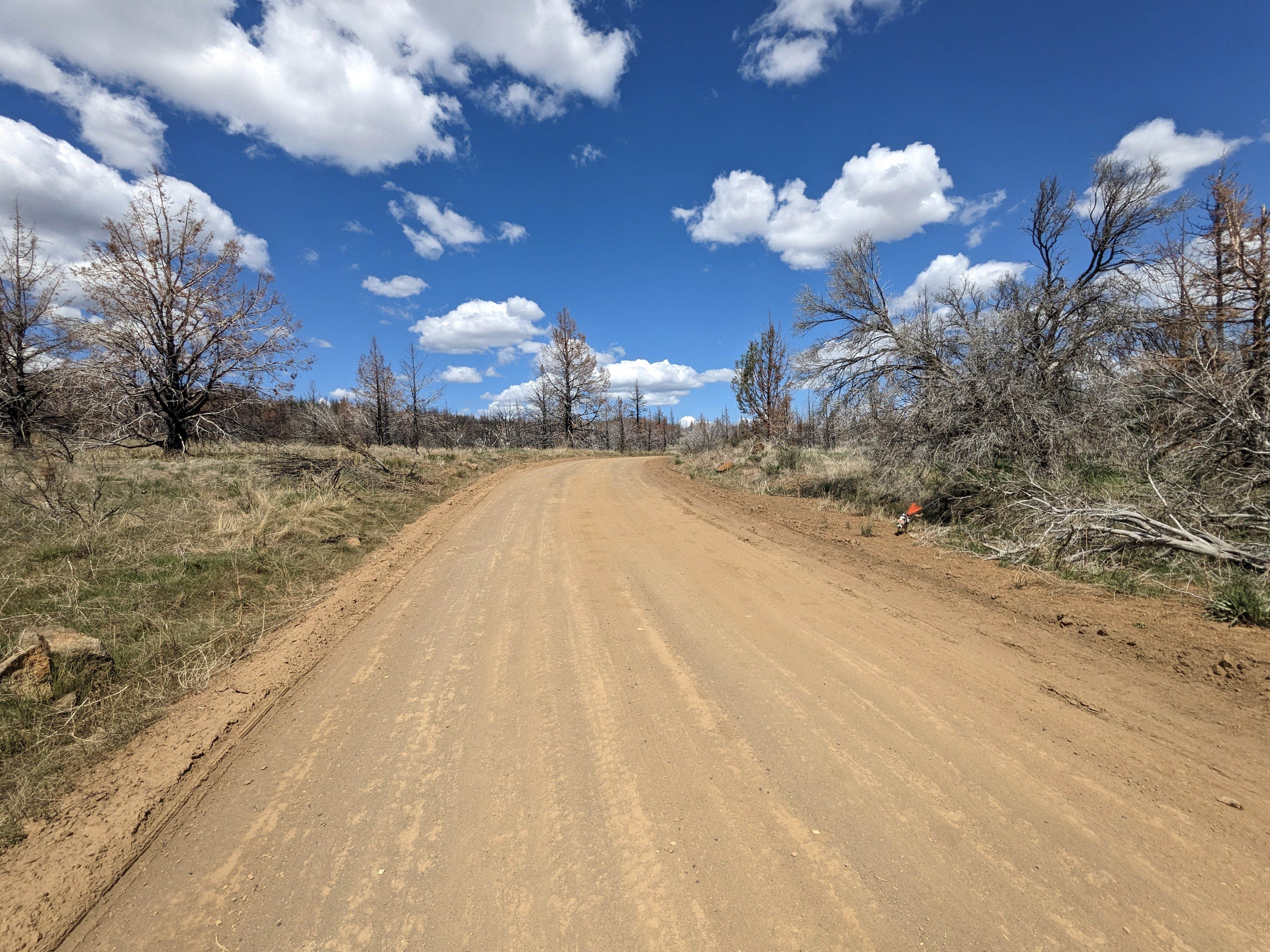 Laura M.'s photo of a dispersed camping area at Tickner Rd near Modoc National Forest