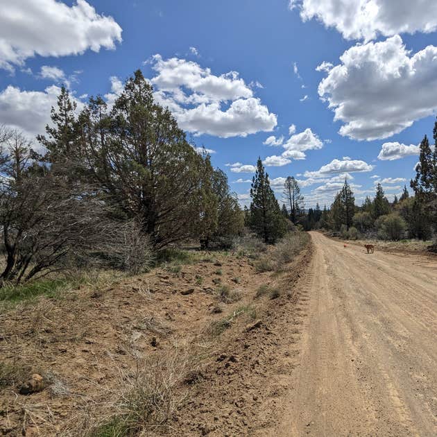 Tickner Rd Camping Tulelake, CA