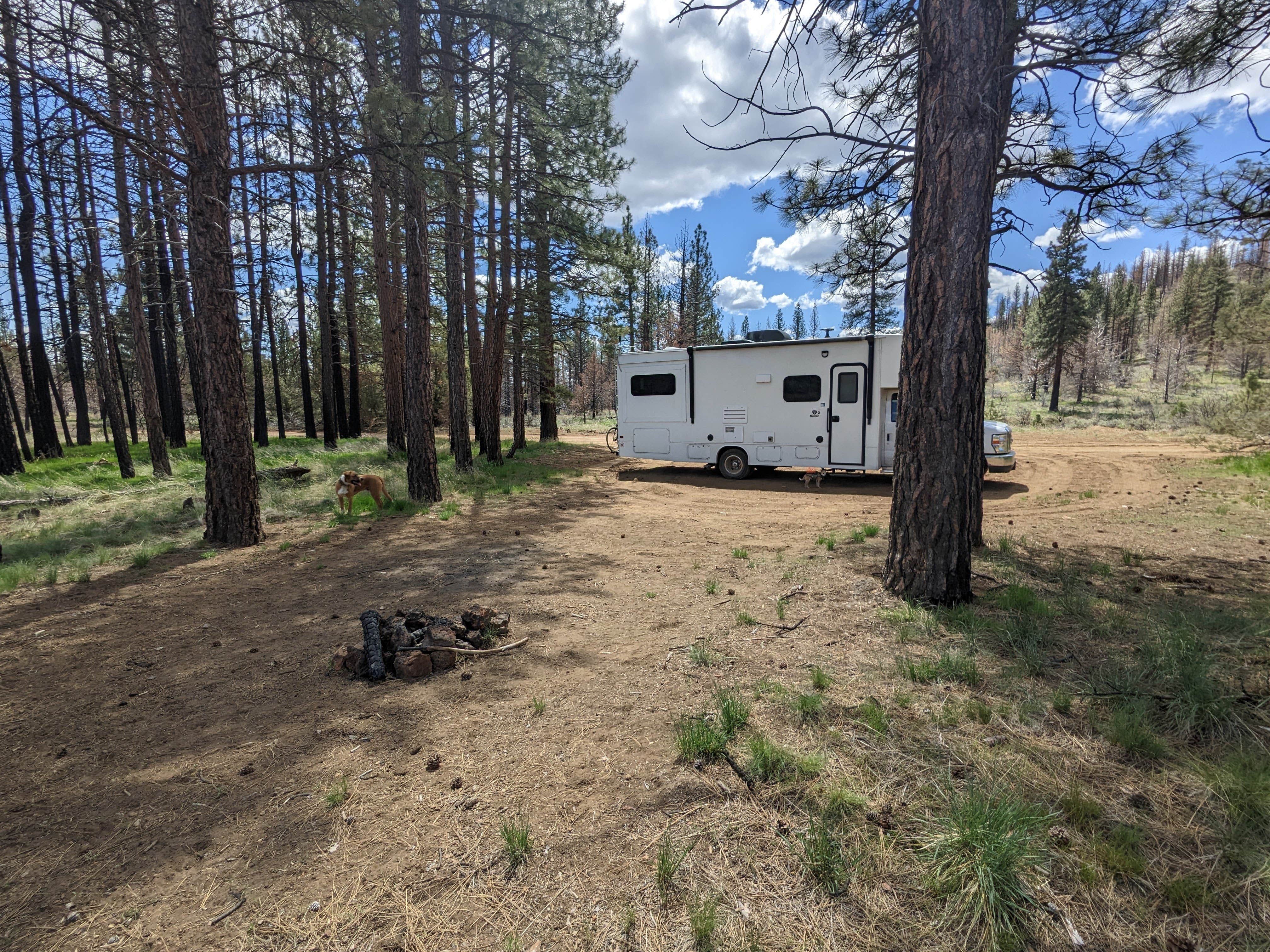 Camper-submitted photo at Tickner Rd near Tulelake, CA