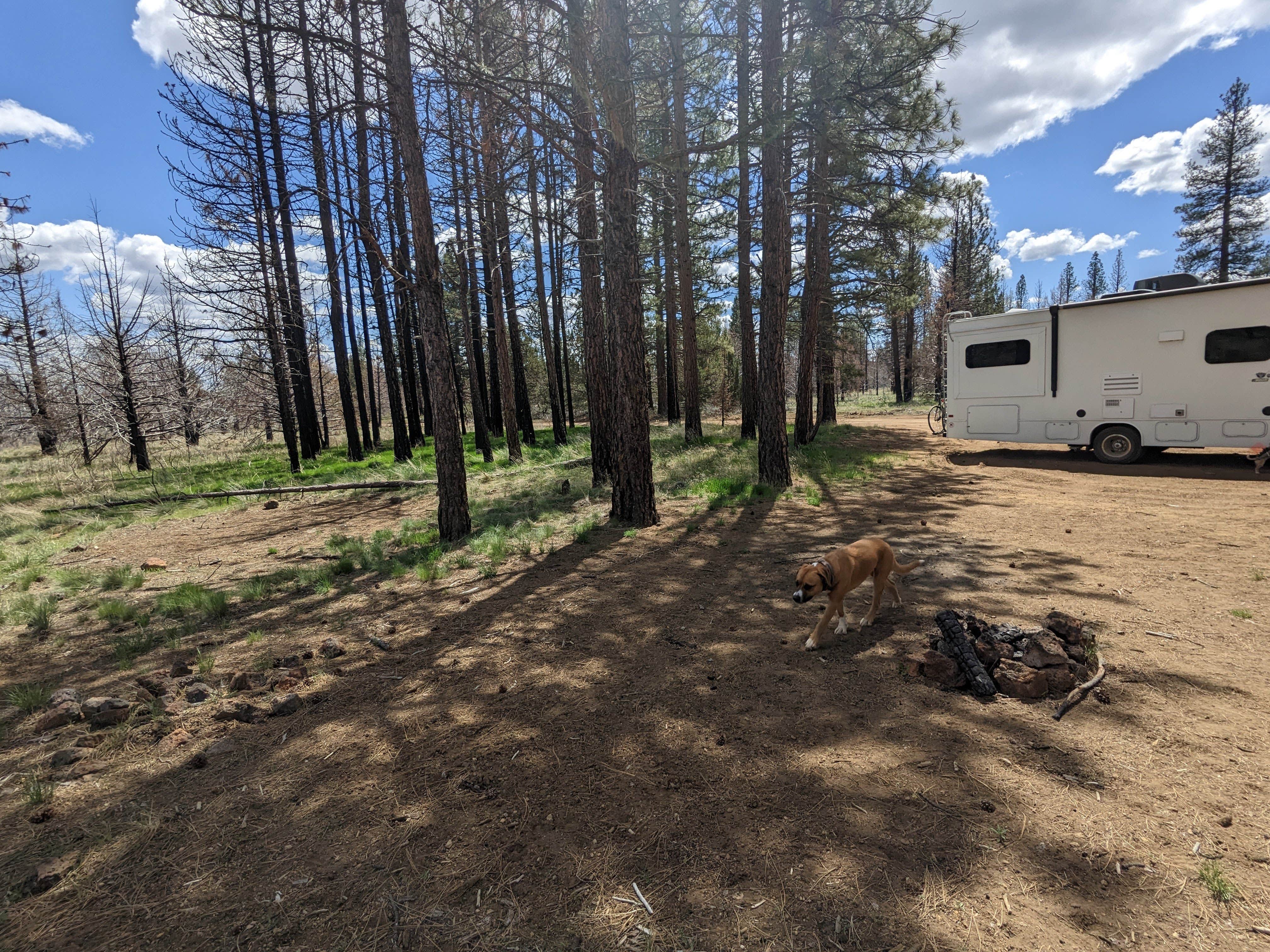 Camper-submitted photo at Tickner Rd near Tulelake, CA