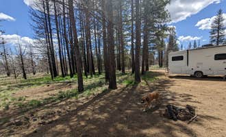 Camping near South Lava Beds: Tickner Rd, Tulelake, California