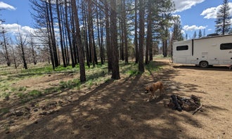 Camping near Indian Well Campground — Lava Beds National Monument: Tickner Rd, Tulelake, California