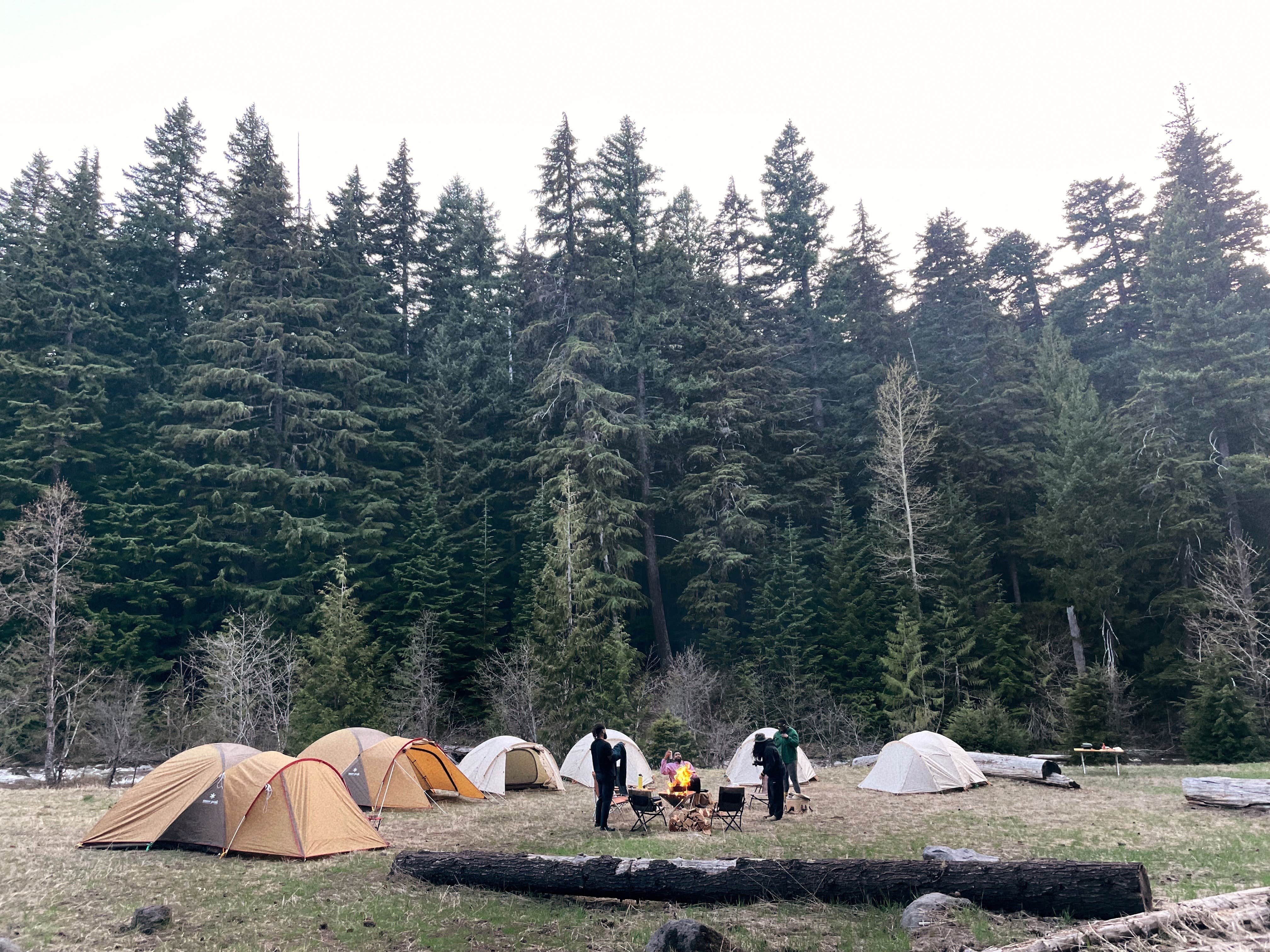 Joelle H.'s photo of camping with pets at Sherwood Campground near Tygh Valley, OR