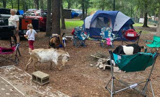 Abby's photo of tent camping at Goat House Farm near Carrabelle, FL